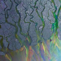 Alt-J - An Awesome Wave (Vinyl)